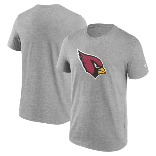 Arizona Cardinals Primary Logo Graphic T-Shirt XL